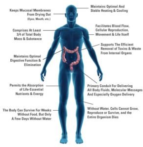 13.1